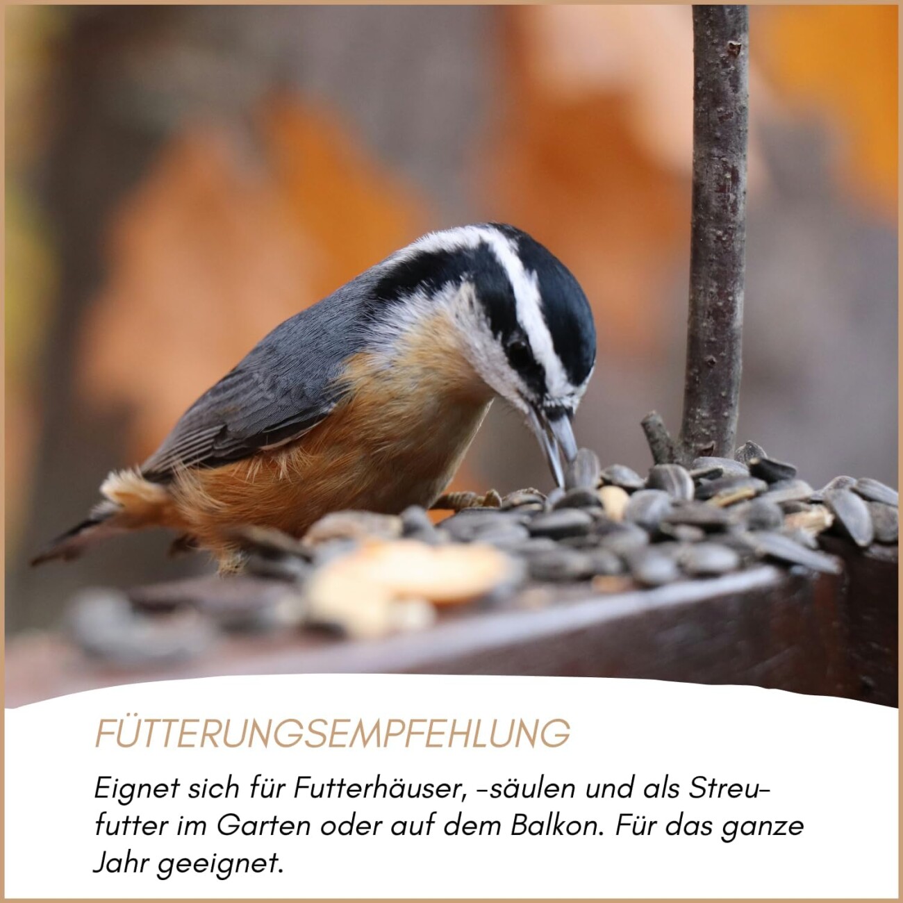 Supravit Sonnenblumenkerne geschält - Ganzjahresfutter für Wildvögel 2,5 kg