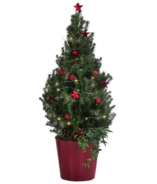 Geschmückter Weihnachtsbaum Antikrot, mit