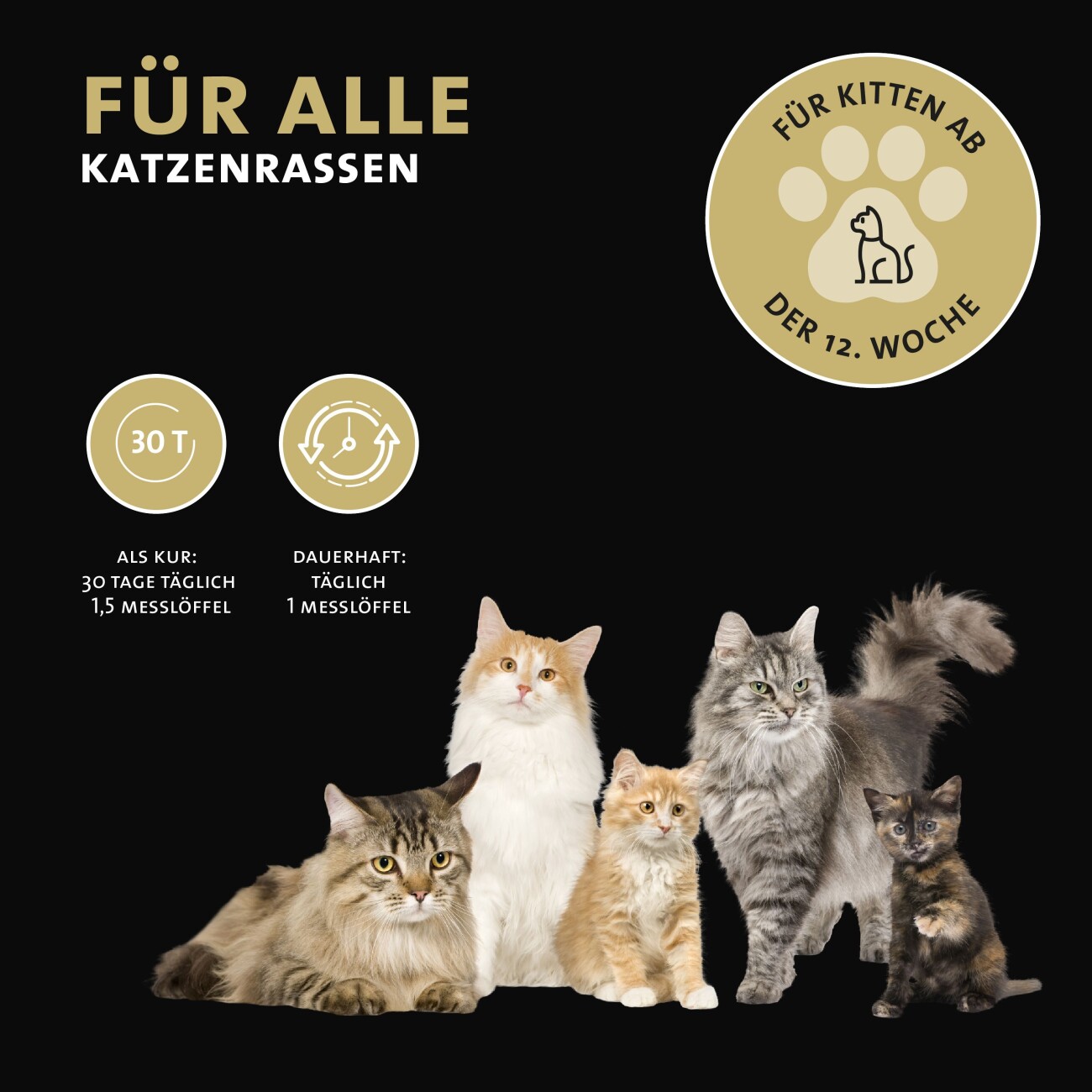 Peticare Diät Schlank Vital Pulver für Katzen, unterstützt Abnehmen-Prozess