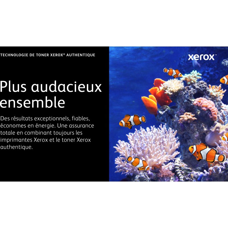 Xerox Cartouche de toner Magenta de Grande capacité Imprimante couleur ® C230/multifonctions ® C235 (2500 pages) - 006R04393