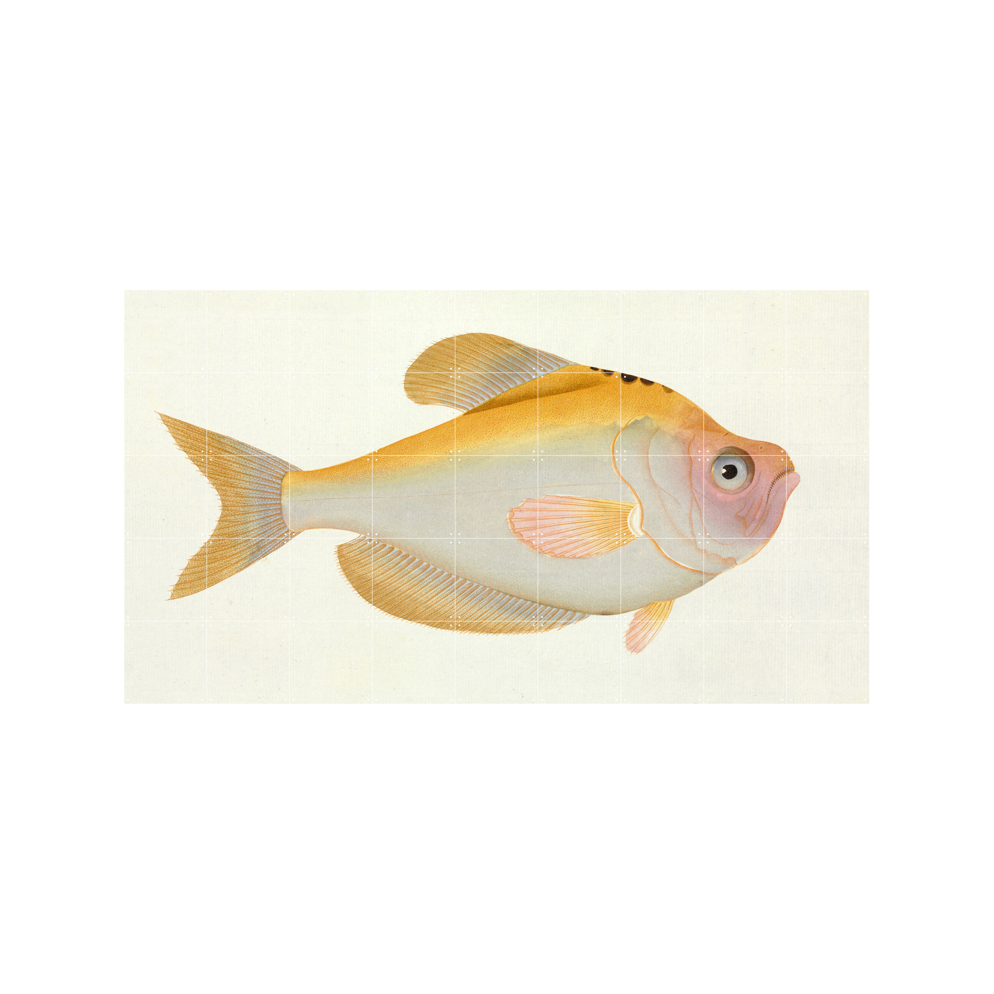 IXXI Yellow Fish 180 x 100 cm