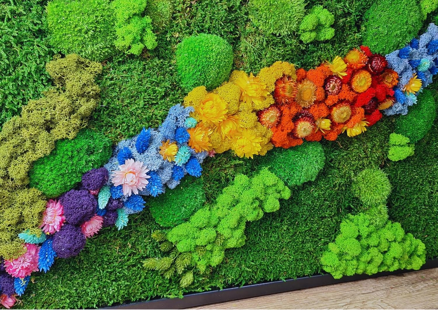 HelloMoss Moosbilder mit Rahmen 110x50cm - Moosbild XXL mit Island Moos Konserviert - Luxus Deko für Ihr Zuhause - Mooswand Deko Wohnzimmer Groß