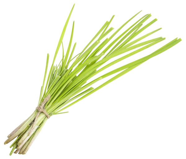 Schnittknoblauch