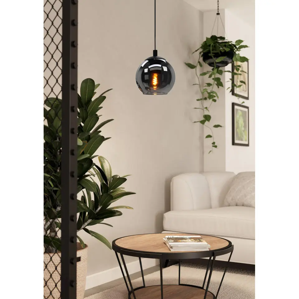 EGLO Ariscani Hanglamp - E27 - Ø 20 cm - rookglas - Zwart
