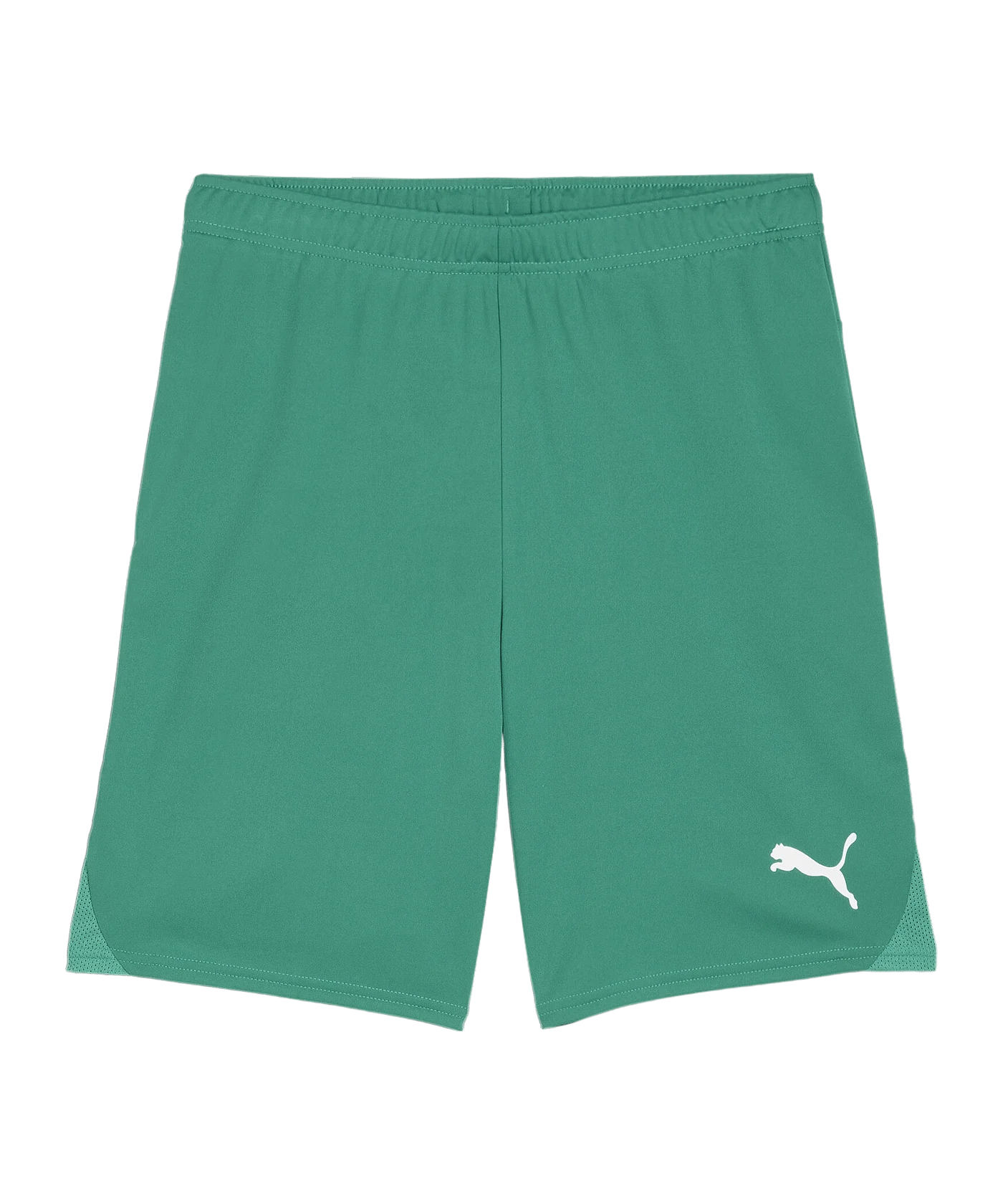 PUMA teamGOAL Short Grün Weiss F05
