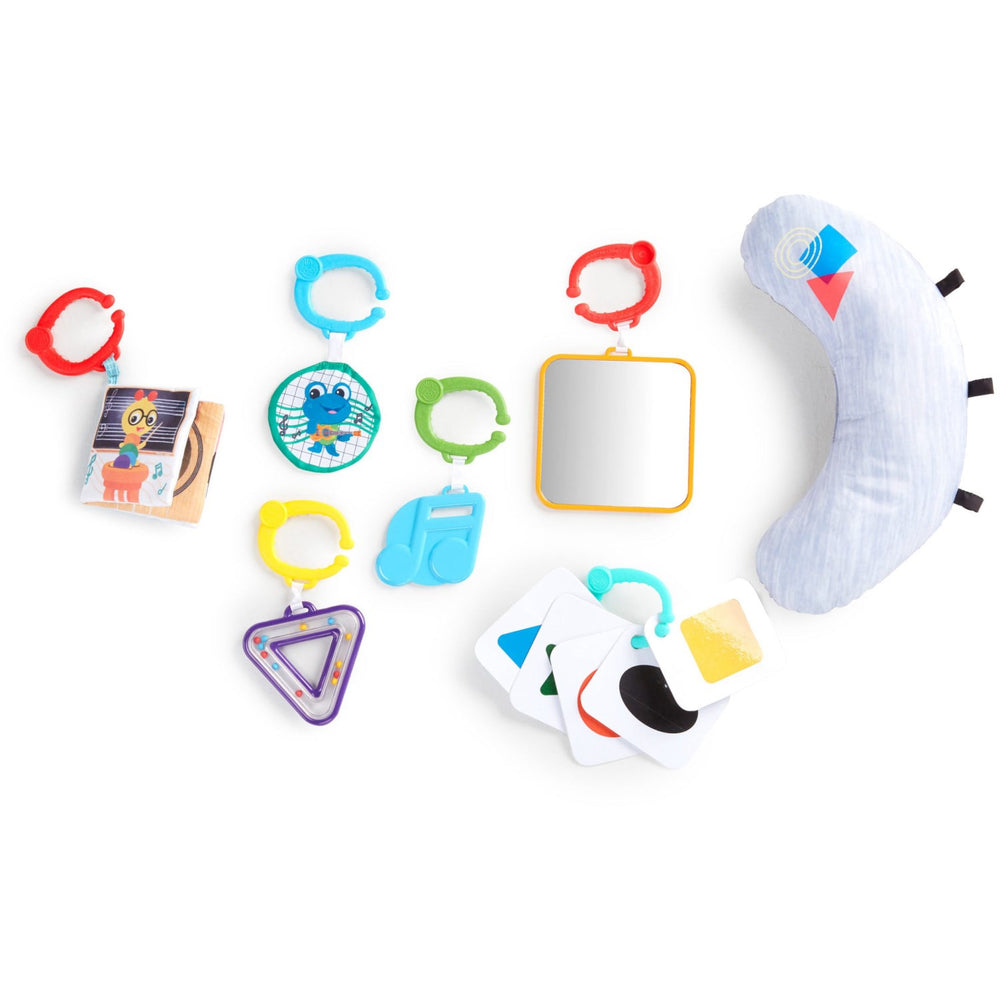 Køb Baby Einstein 4-In-1 Musik And Language Discovery Gym