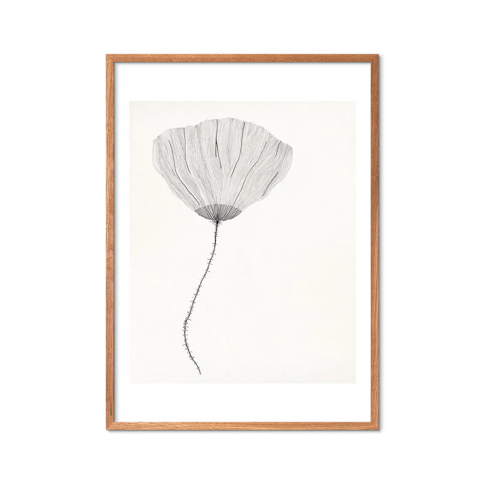 Poster & Frame  Poppy plakat, creme - 50x70 cm