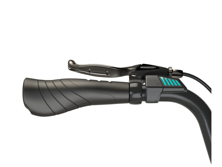 Elektrische fiets Alu-City Geniesser 1.0