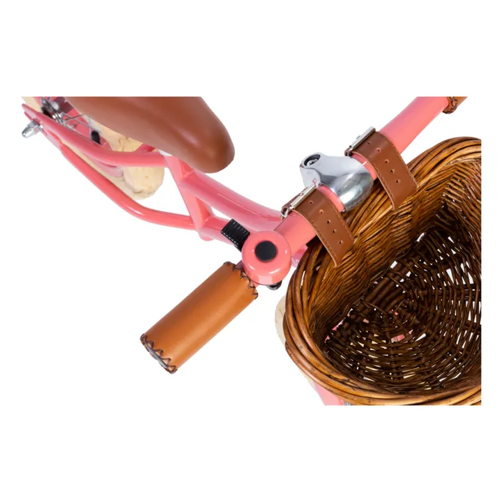 Banwood Draisienne First Go 12