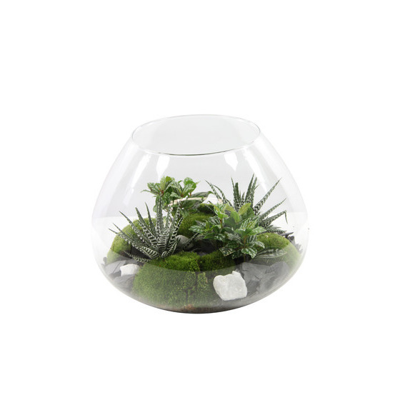 Composition Mini jardin : D.32 x H.25cm