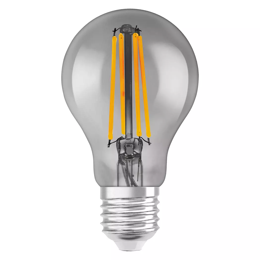 LED-Birnenform E27/6 Watt/Energie F