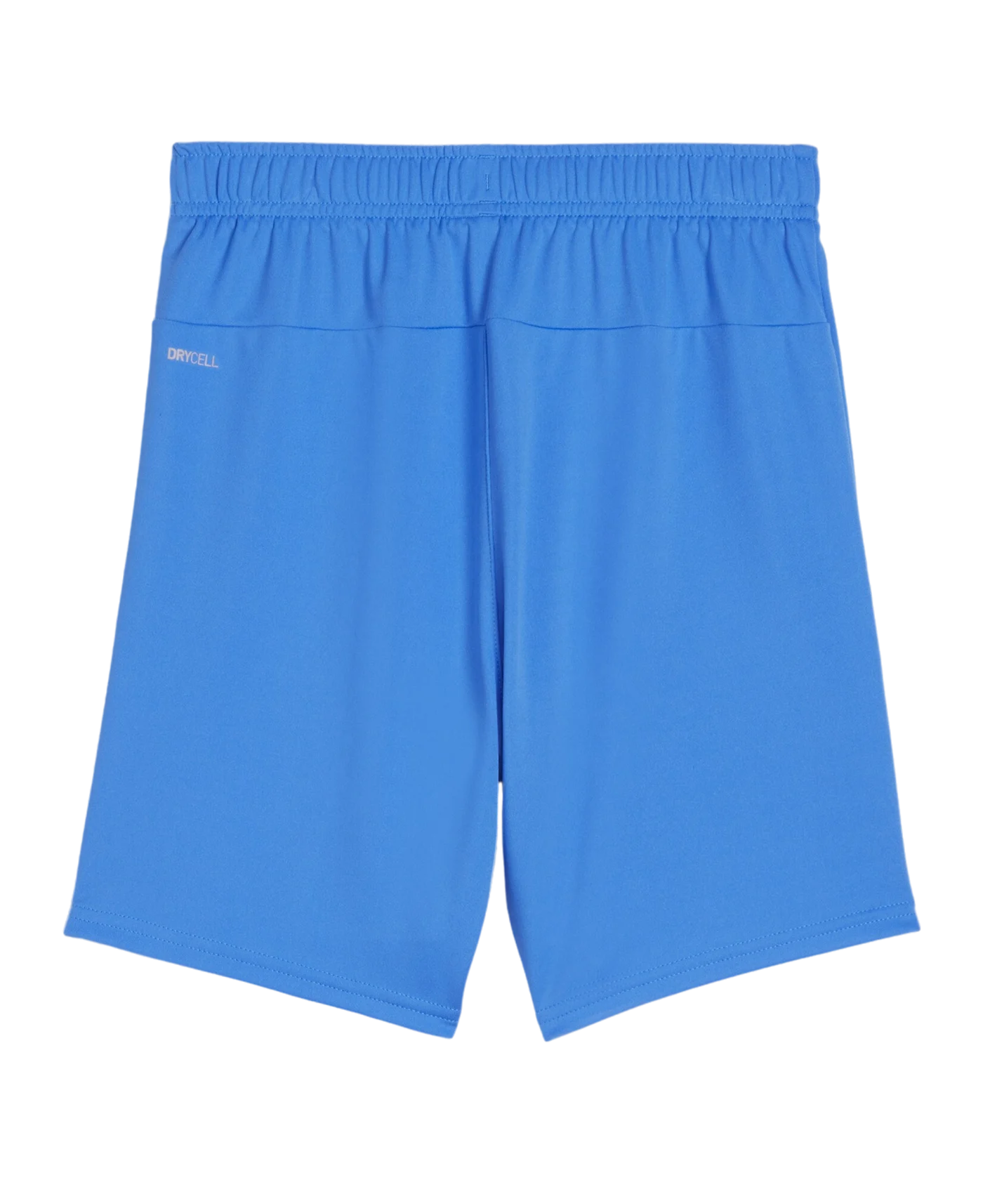 PUMA teamGOAL Short Kids Blau Weiss F02