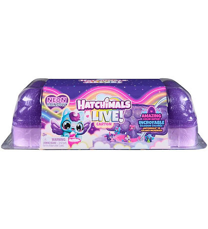 Hatchimals Spielzeug - Alive Neon Rainbow Karton