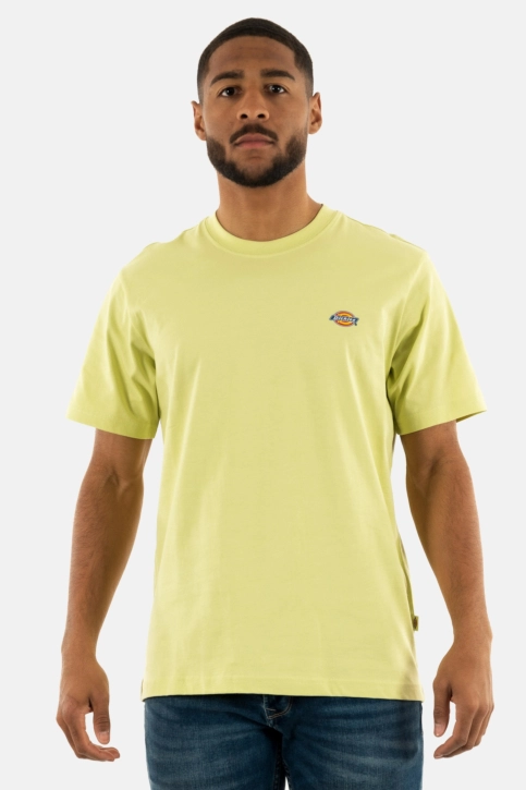 Tee shirt dickies mapleton h141 pale green