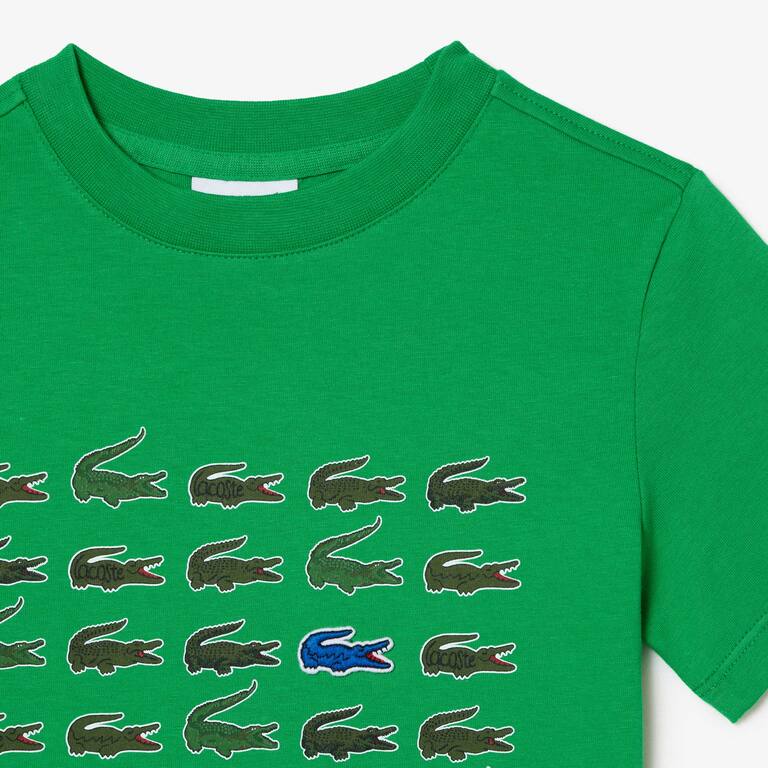 T-shirt avec imprimé crocodile en coton T-Shirts & Chemises - Vert - Lacoste - Enfant
