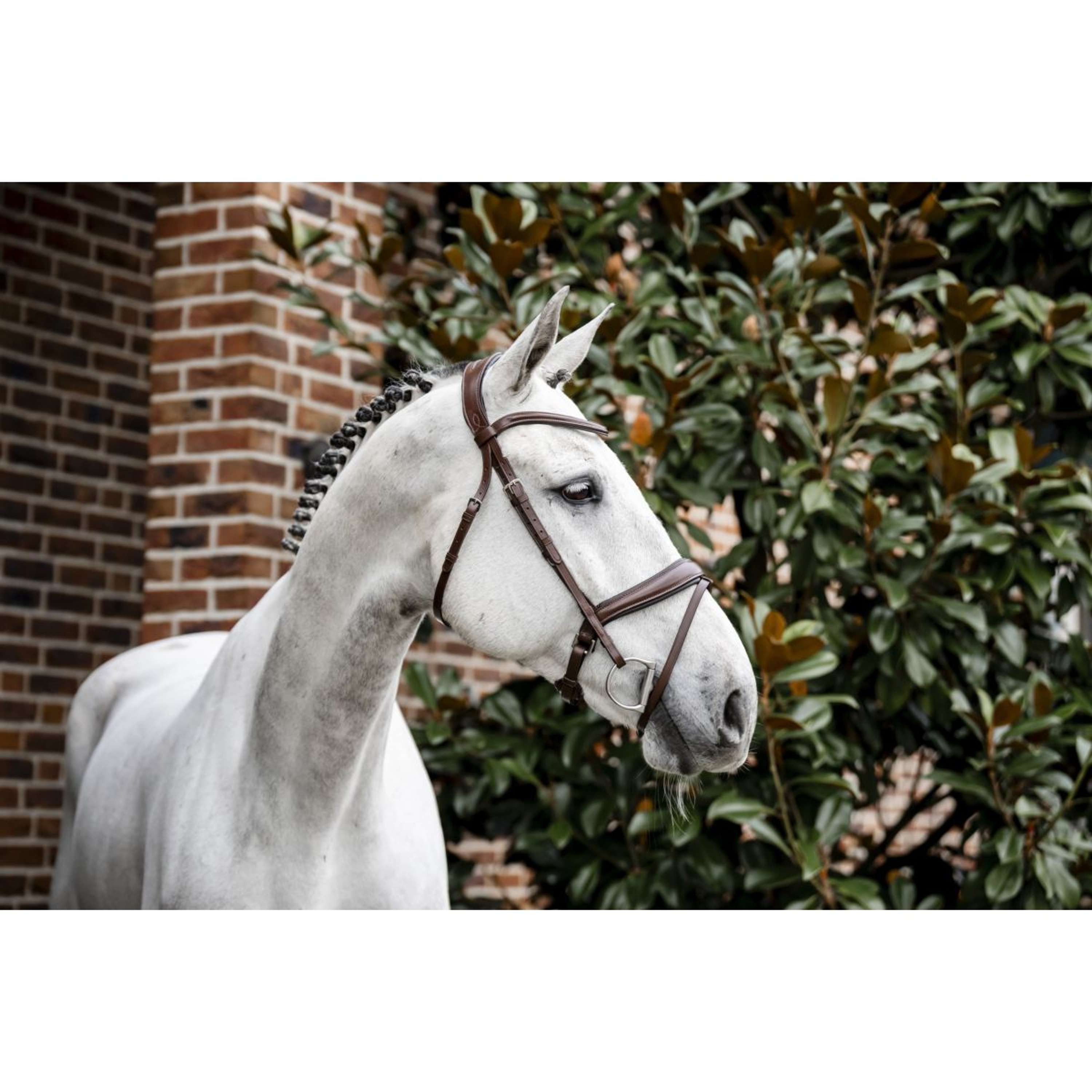 Horseware Hoofdstel Dressage Bruin