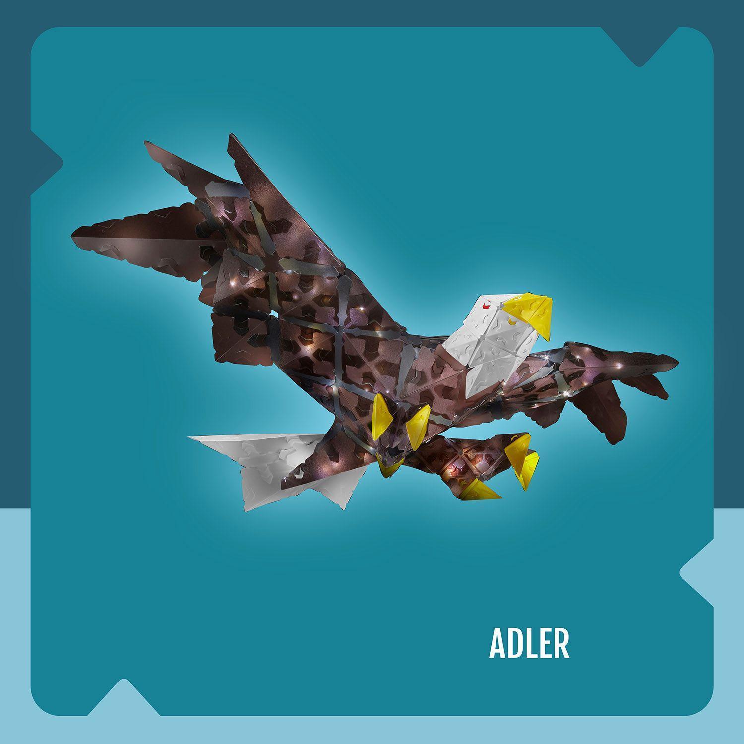 Creatto Adler / Wild Life
