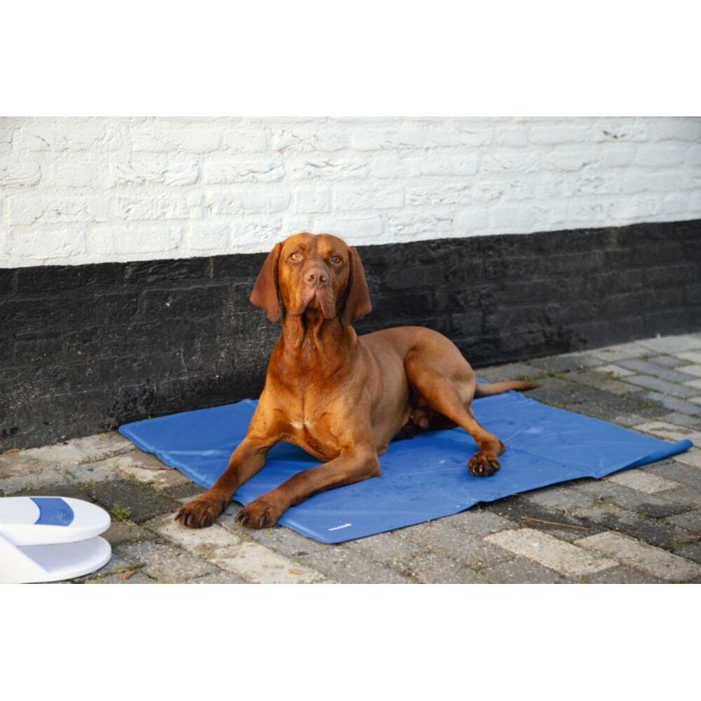 Beeztees Koelmat Quick Cooler IziBlauw95 x 75 cm