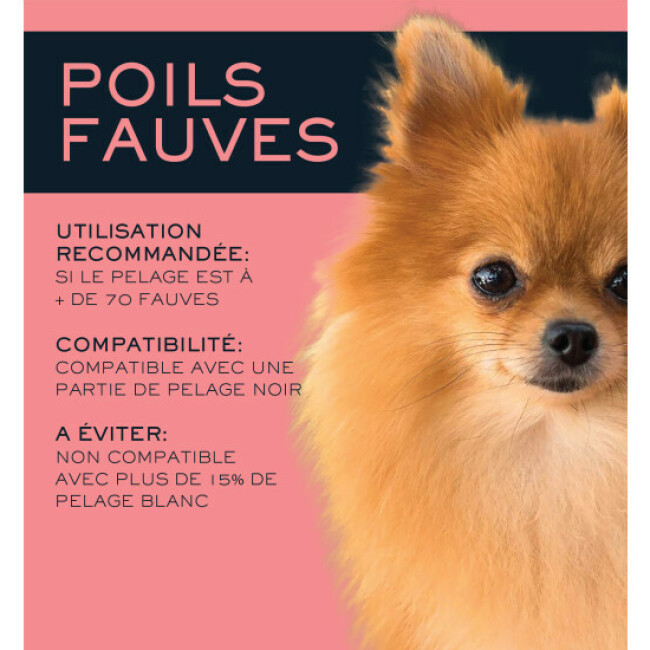 Shampoing solide Naiomy poils fauves ou roux