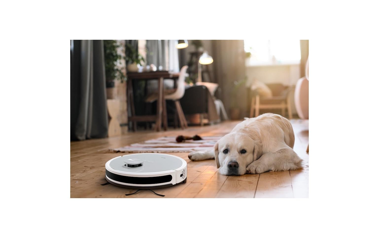 Saug- und Wischroboter X21 mit Absaugstation<br>Saugroboter mit Wischfunktion