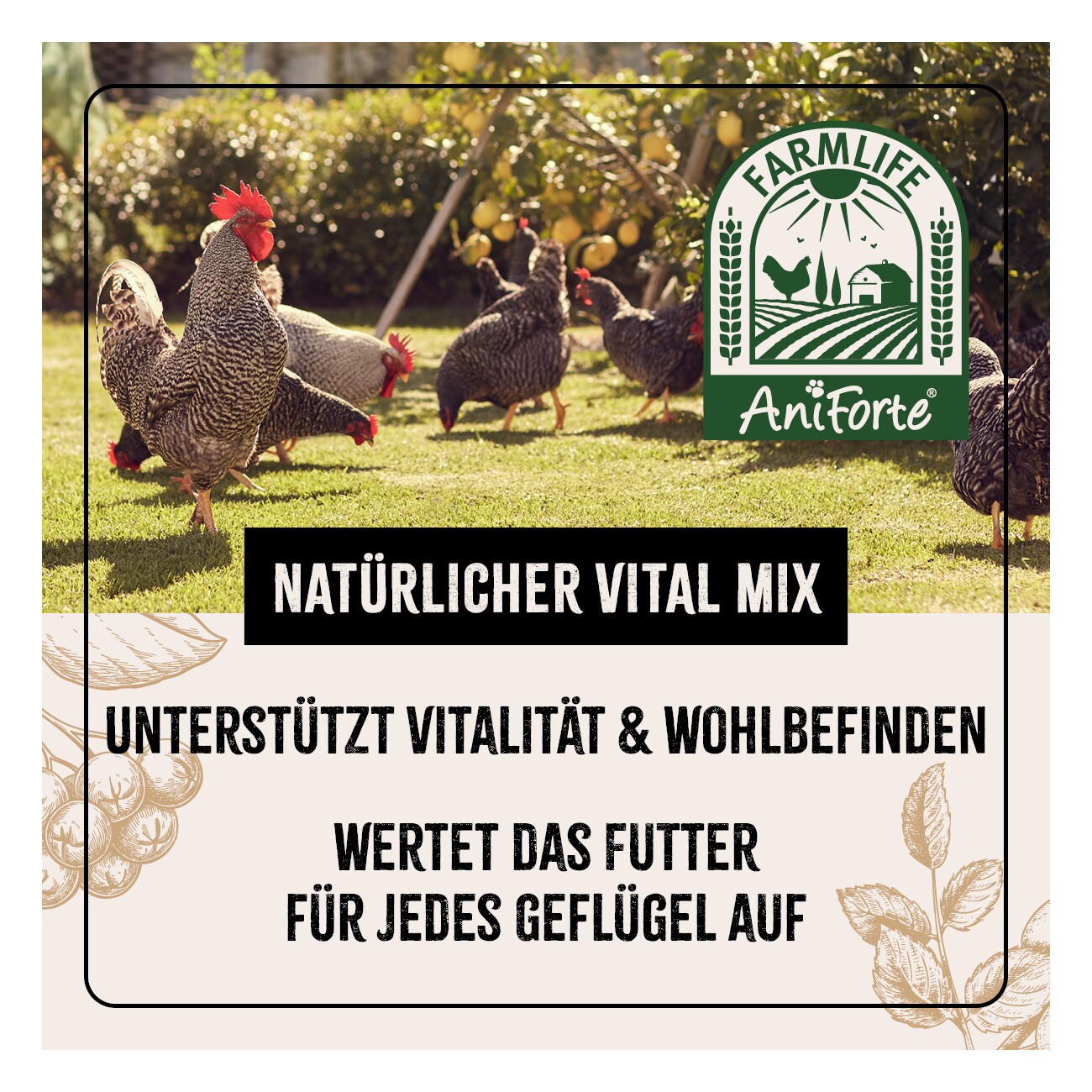 AniForte FarmLife Geflügel Vital Mix Pulver 500g