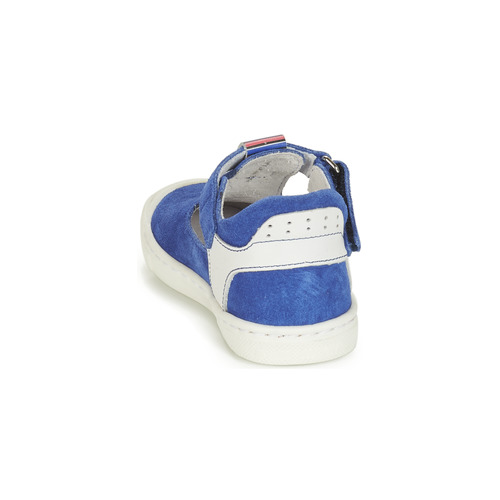 André - BELUGA - Bleu