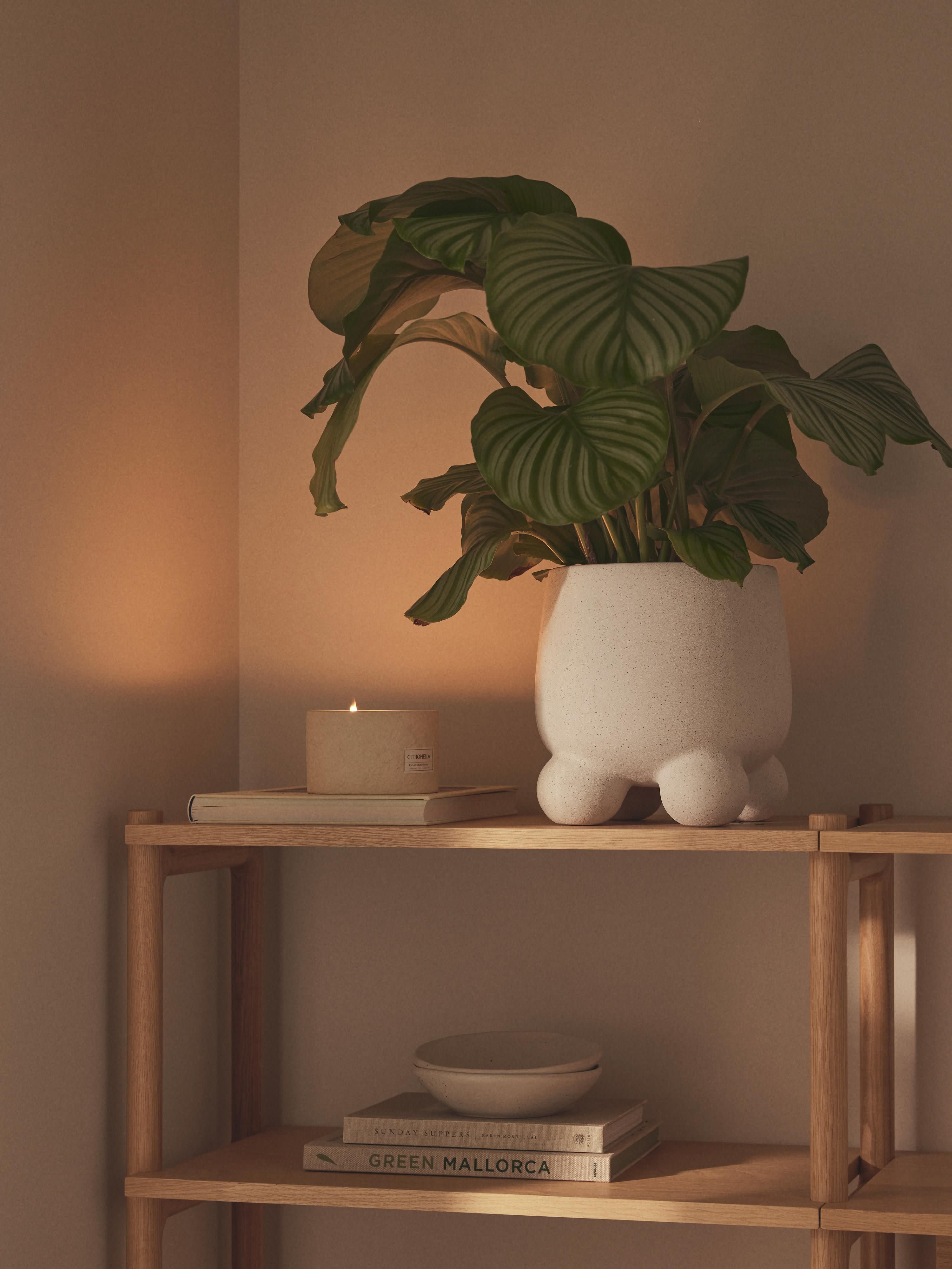 Plantenpot Olea, H 26 cm