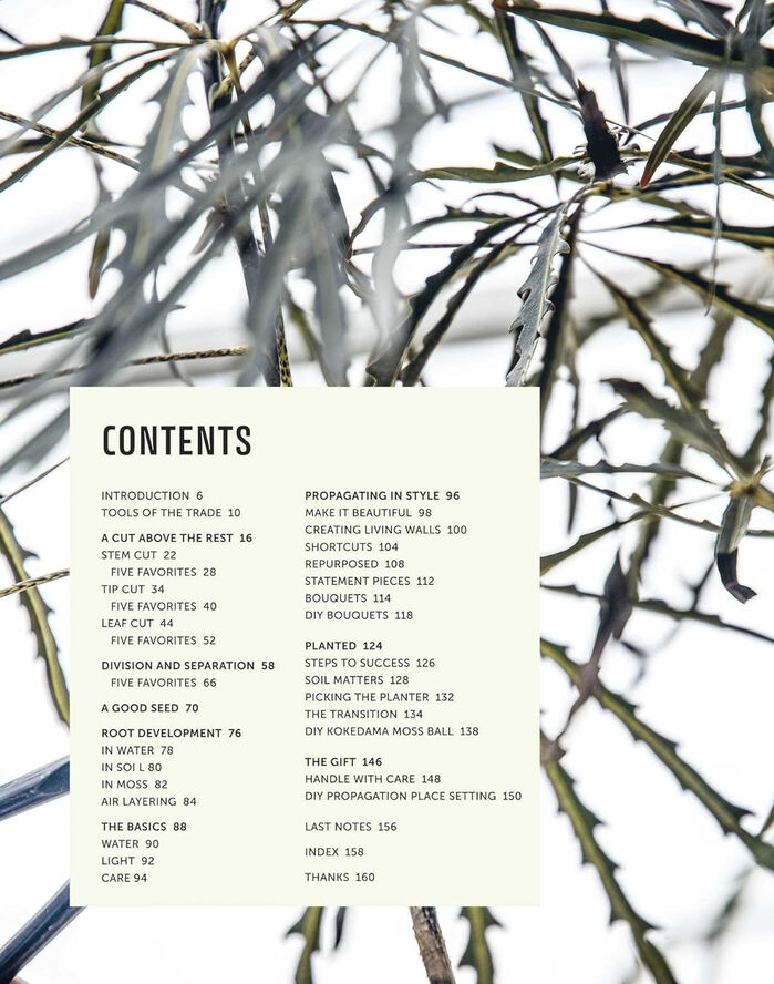 New Mags The Propagation Handbook