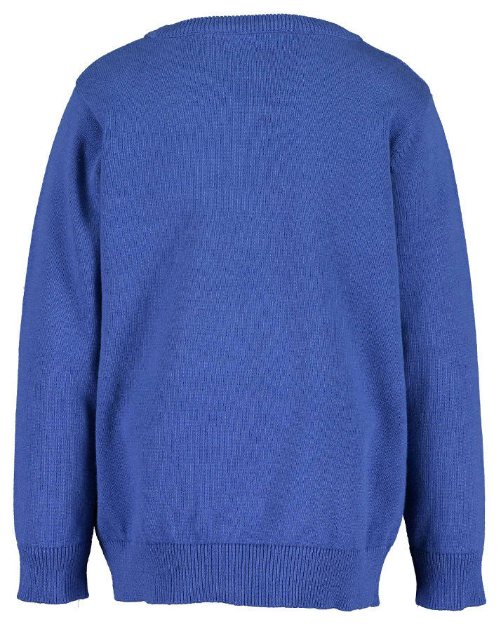 Strickpullover ARCTIC WOLVES mit Flockprint in blau