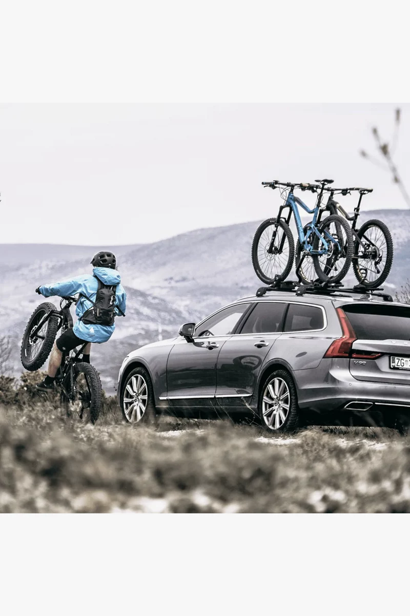 Thule ProRide Dachträger