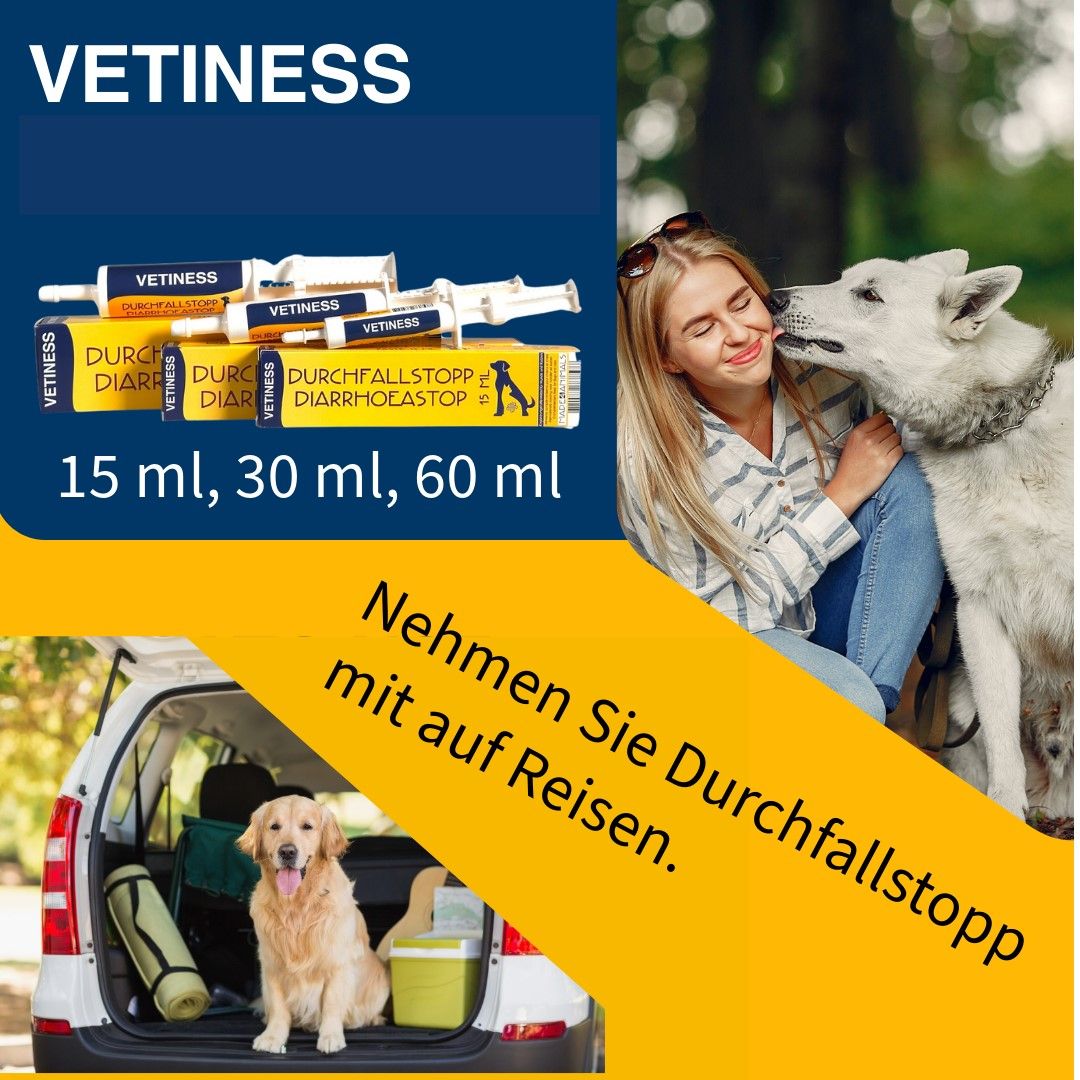 Vetiness Durchfallstopp Paste für Hunde und Katzen