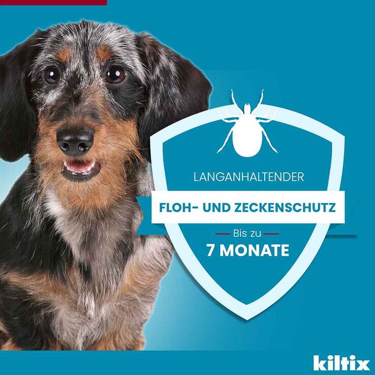 Kiltix für große Hunde Halsband, 1 St