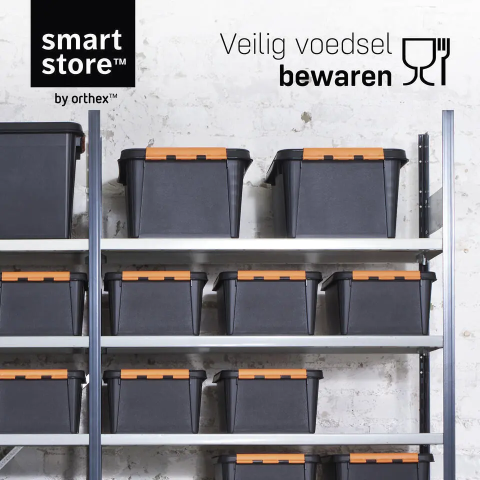 SmartStore Stevige Opbergbox 49L Set van 3 - 59x39x34cm