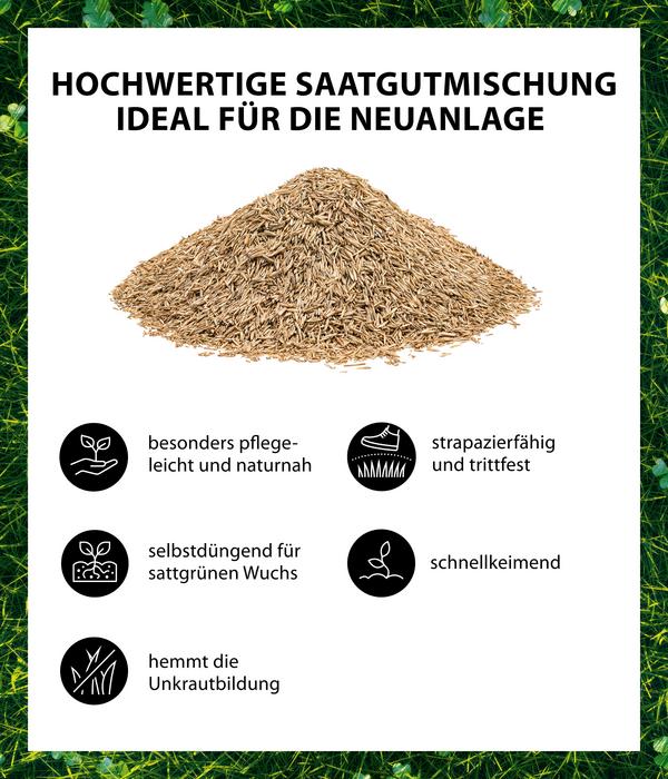 Dehner Saatgut Mikroklee-Rasen