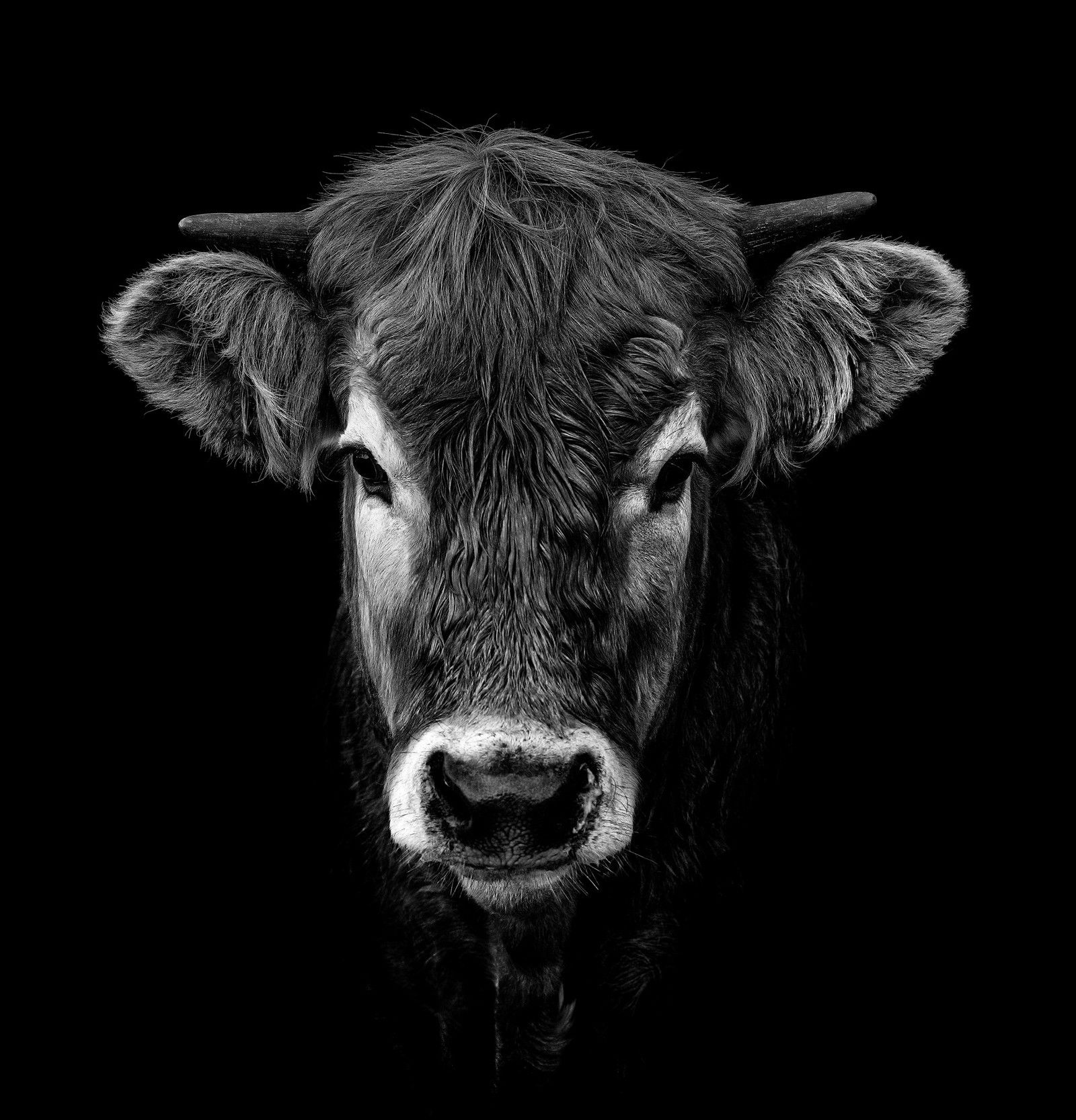 Caramelle by Claudio Gotsch - Limited Edition. Edition of: 150. Signed.