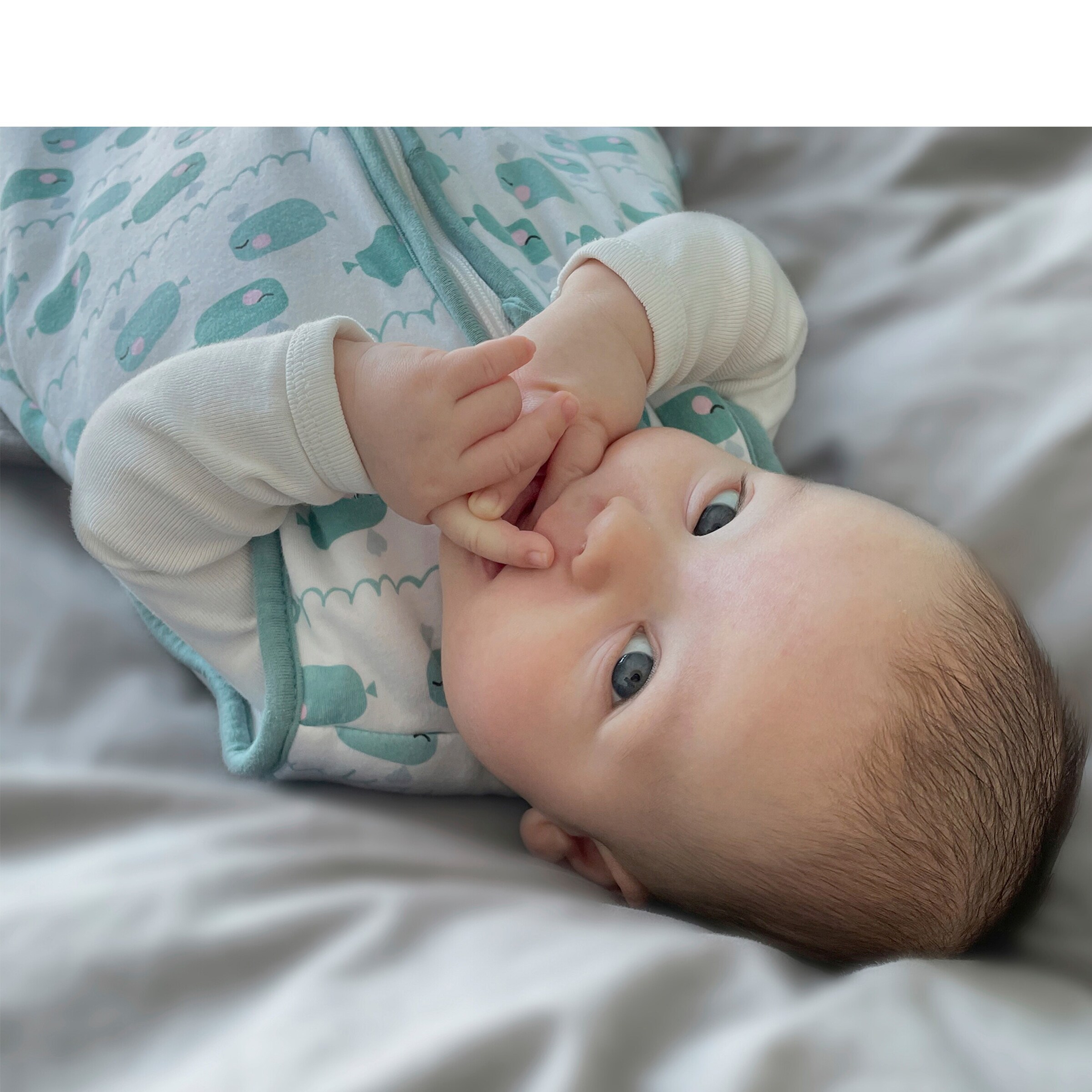 emma & noah Ganzjahres-Sleepoverall 2.5 TOG Exklusivdesign Wal grün / mint