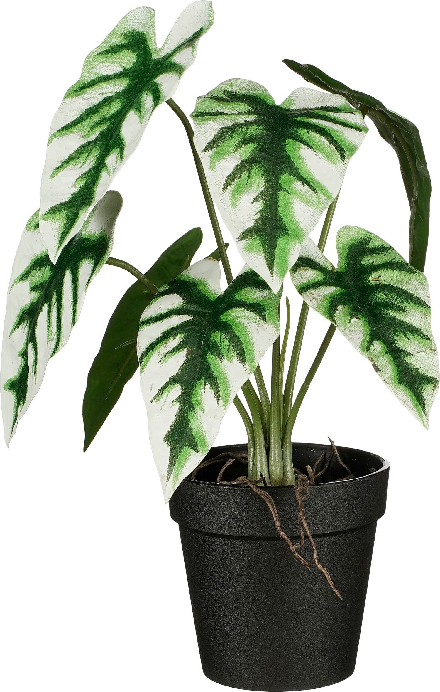 Mica Decorations kunstplant Alocasia groen H 27 D 25 cm