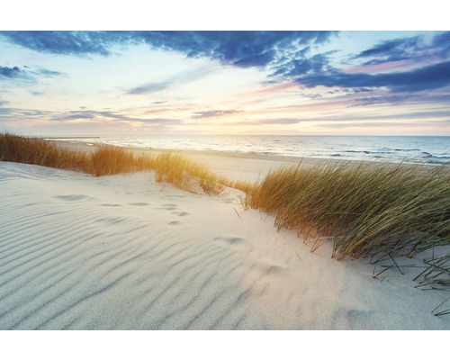 Fotobehang vliesbehang 181100 Grassy Dunes at Sunset 7-delig. 350x260cm