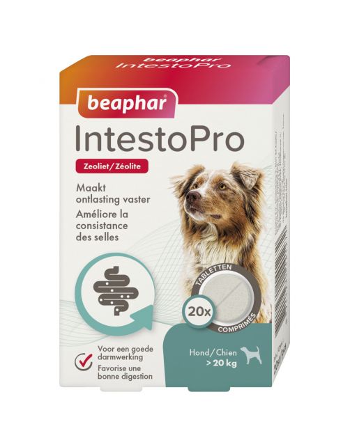Beaphar Intestopro Hond > 20kg - Spijsverteringmiddel - 20 tab Tot 20 Kg