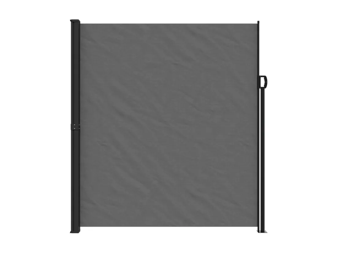 Auvent latéral rétractable anthracite 220x300 cm