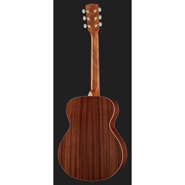 Harley Benton Bluesgitarren-Set 1