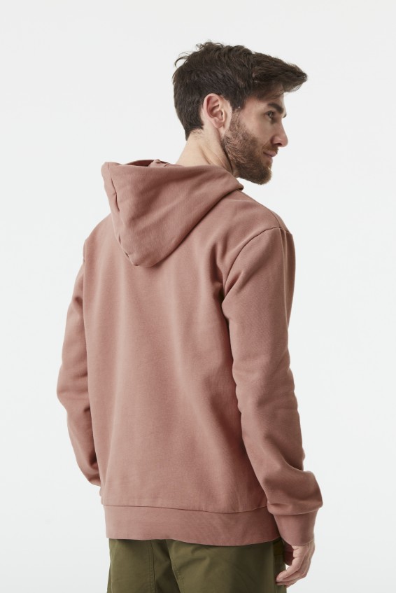 Picture Basement Hoodie Wood Ash
