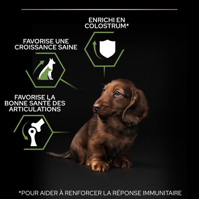 PRO PLAN Healthy Start Small & Mini Puppy au Poulet - Croquettes pour chien