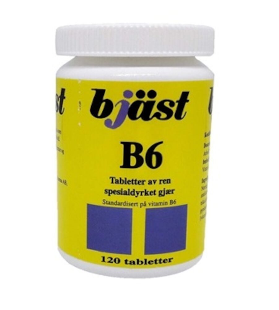Bjæst B6
