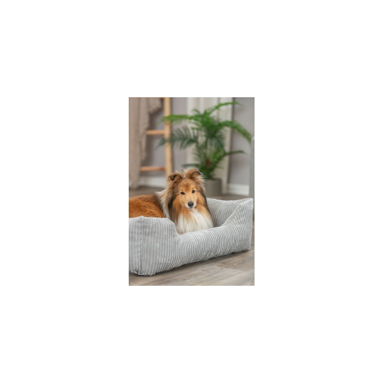 Trixie Vital Bett Jonna grau 50 cm, 22 cm, 50 cm