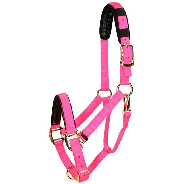 Halster Shires Nylon Topaz Roze