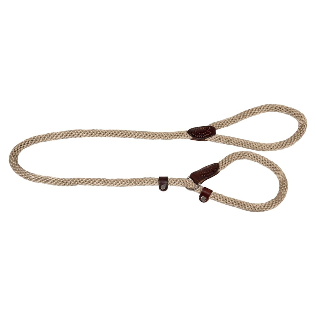 Coleira para cães
