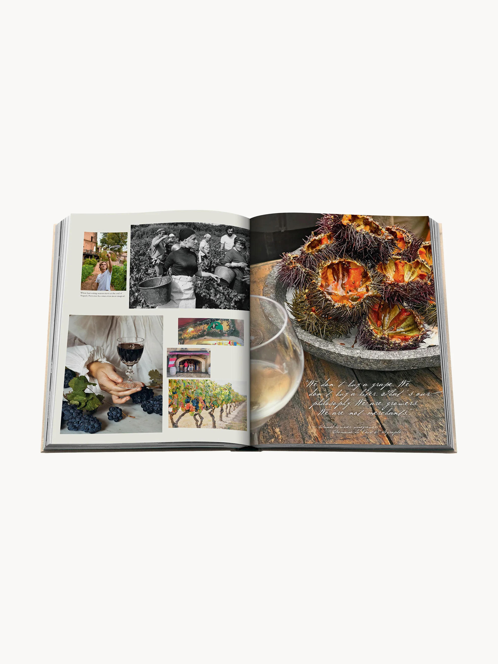 Koffietafelboek Wine & Travel: France