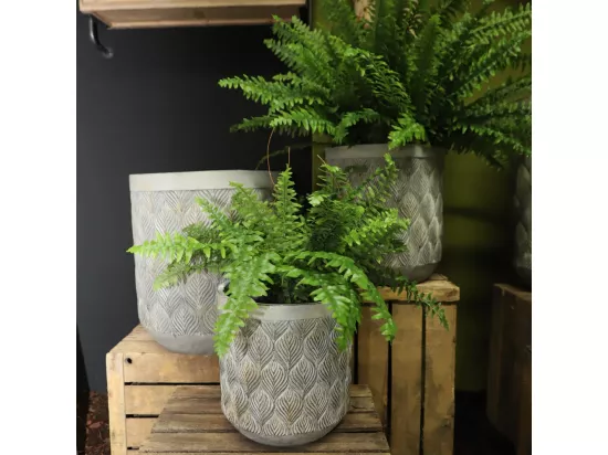 3 Cache-pots grandes tailles plante extérieur béton gris 31-39-49cm