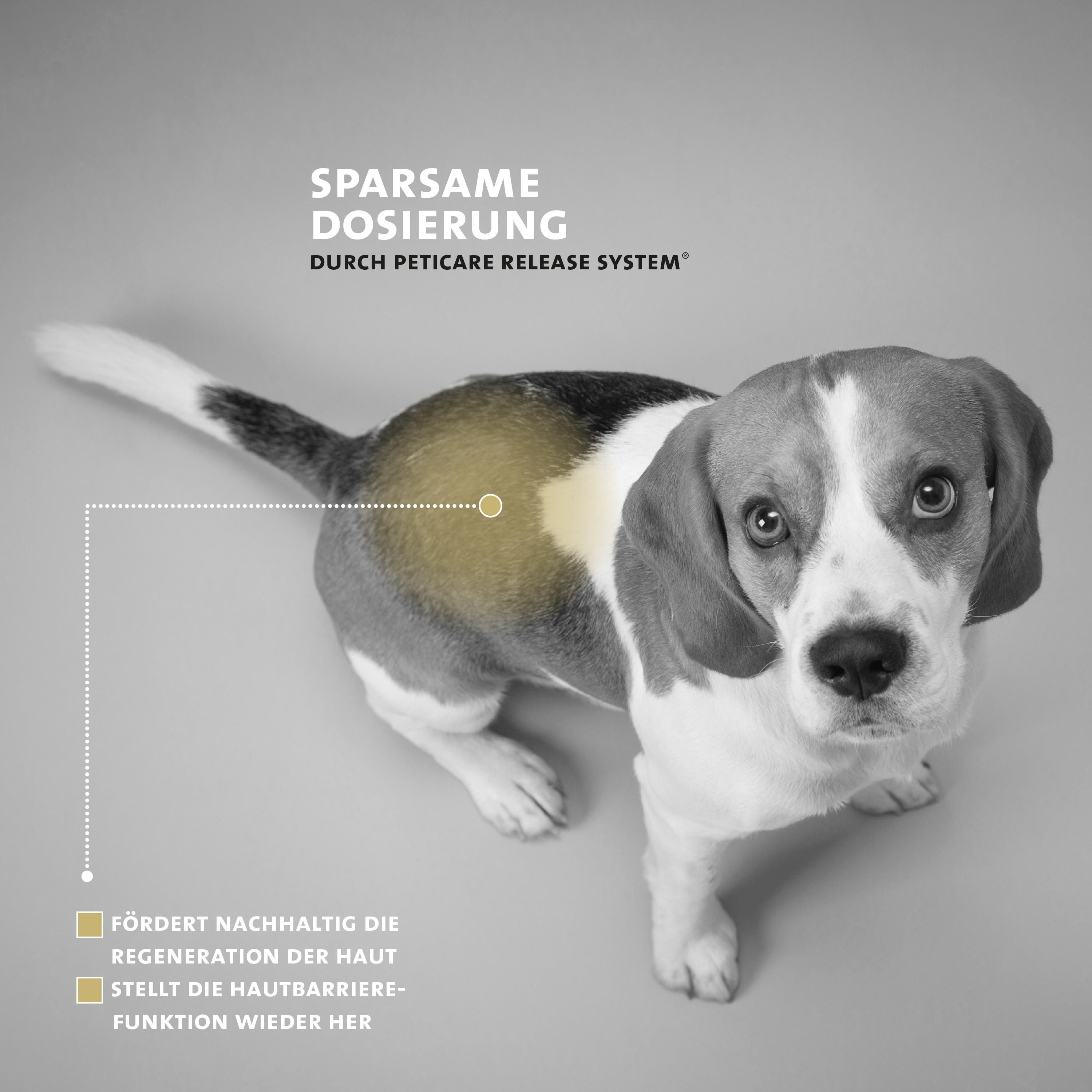 Peticare Wund-Salbe für Hunde, bei Wunden & Haut-Verletzungen aller Art